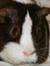 Michelle Klopping