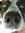 Pepper