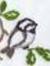 Shirin