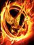 Hunger Games Bookclub (HGBC)