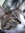 Drebbles