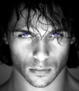 Awilk -will work for books- 