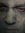 Joe