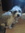 Linda (beaulieulinda117gmailcom) | 664 comments