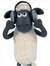 Shaun