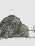 Ligia