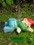 Have Nisse