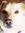 Shyloh | 376 comments