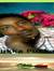 Haile Eyesus