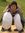 Riza Gambe