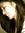 jeannellyn