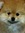 Tob