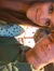 Brittany