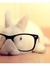 BookBunny