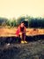 Vinay Teli