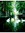 Emily S...