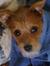 Jozie