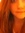 Lindsay...