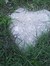 Debra Winter