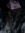 Emily R...