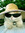 bakanekonomama (radmalia) | 176 comments