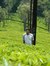 Praveen Kumar
