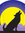 Moonlight