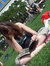Carina