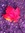 Sue Wargo | 16 comments