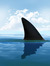 Sharky