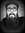 Dave | 44 comments