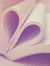 Rebecca Reads
