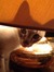 Marta (Cinnamon Cookie)