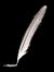 Quicksilver Quill
