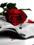Abi (dragonbookreviews.weebly.com)