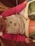 Wendy Seles Shelton