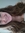 Emilie
