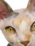 Suzan