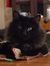 Dorothyb