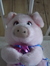 Amelia.tullyhotmail.co.uk