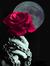 ☽ Moon Rose ☯