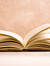 Thebookchick