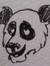 Thetravelingpanda