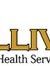 Sullivan Mental Health Services