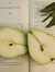 BookAppétit