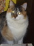 Sally