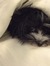 Caitlin