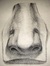 Karl K