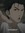 Kat (Lost in Neverland) (BNLNJF) | 181 comments