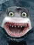 SHNARK
